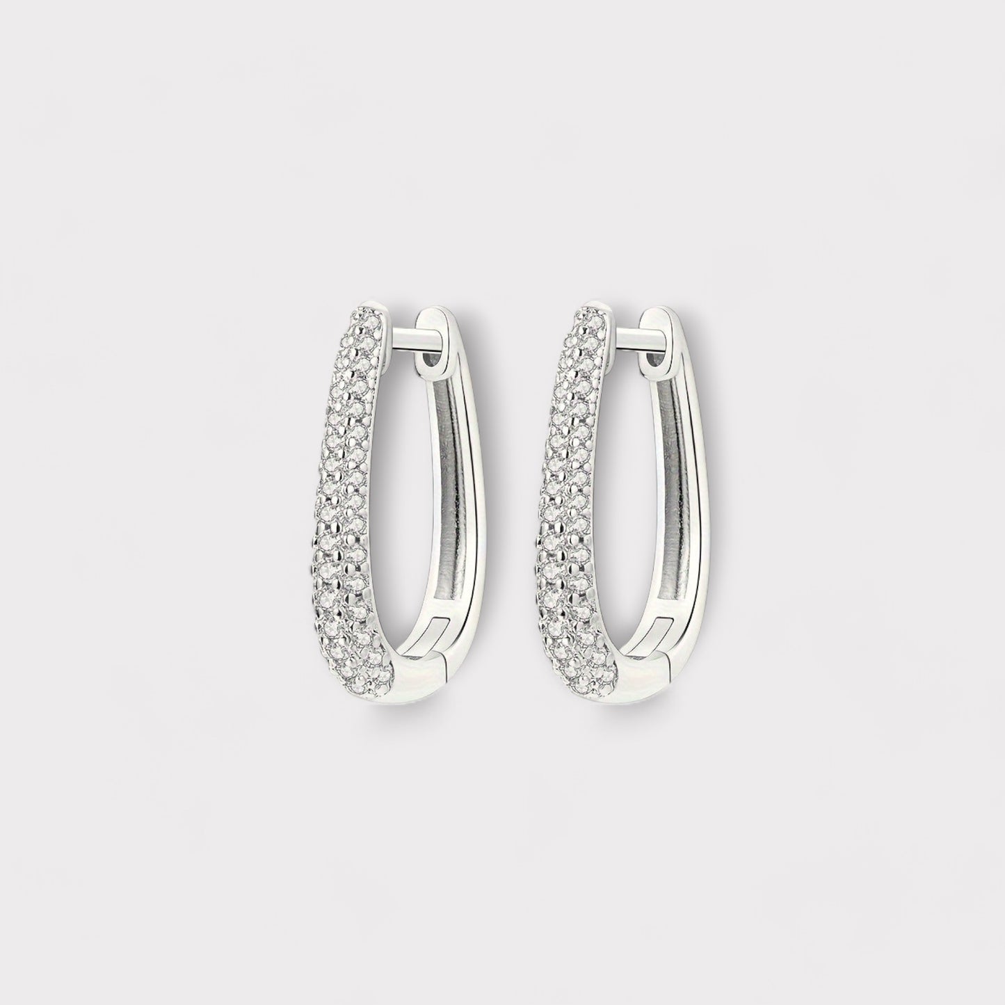 Luxury Hoop Earrings